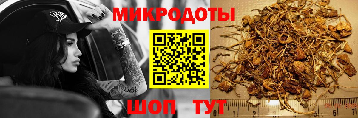 Галлюциногенные грибы мухоморы Лесной