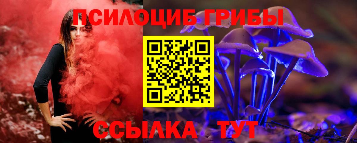 Галлюциногенные грибы Psilocybe  Псилоцибиновые грибы прущие грибы  магазин  наркотиков  Лесной  Вход с VPN 